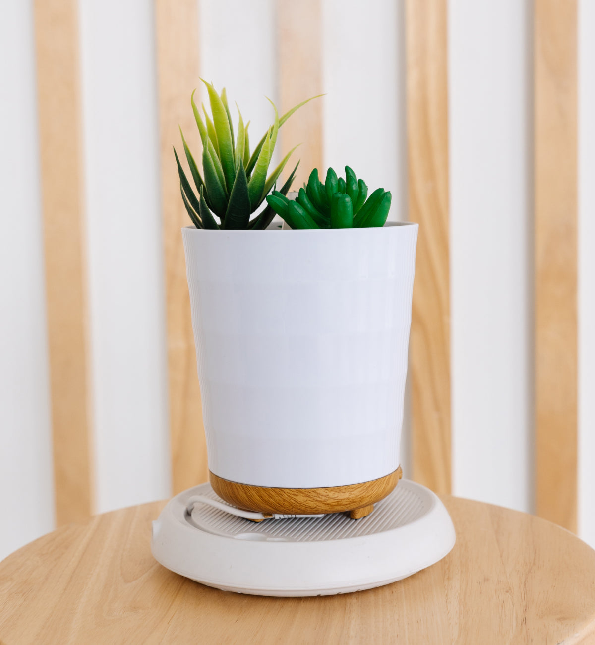 Succulent Diffuser and Battery Base